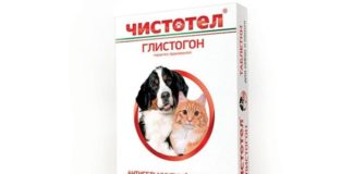 Чистотел для кошек от глистов: инструкция по применению