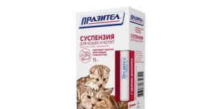 «Празител» суспензия для кошек и котят: инструкция по применению