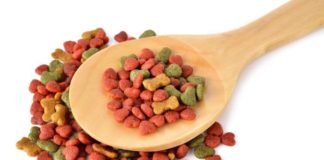 Каким сухим кормом лучше кормить кошку: плюсы и минусы