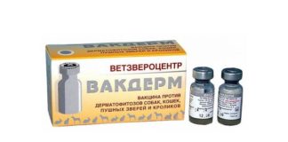 Вакдерм для кошек: инструкция по применению