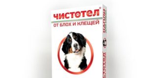 Капли Чистотел от блох и клещей для собак