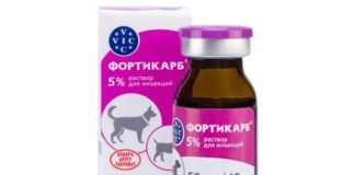 Фортикарб для собак: инструкция по применению