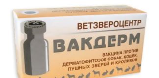 Вакдерм для собак: инструкция по применению