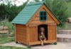 7 причин, почему собака не хочет спать в будке